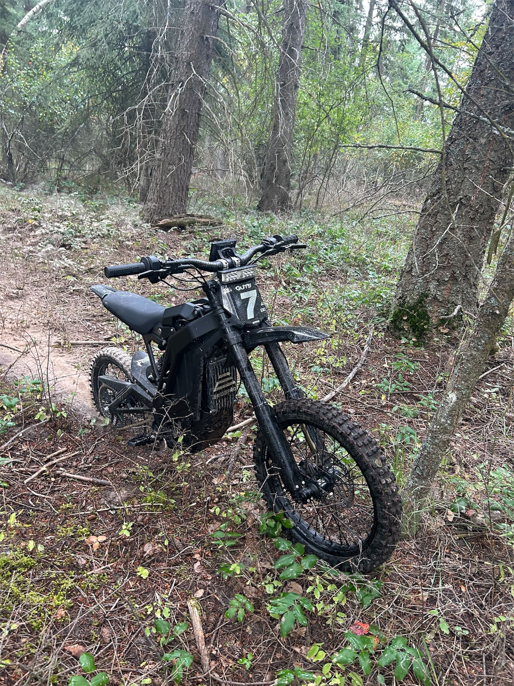 Black electric dirt bike in a wooded area, parked near trees.
