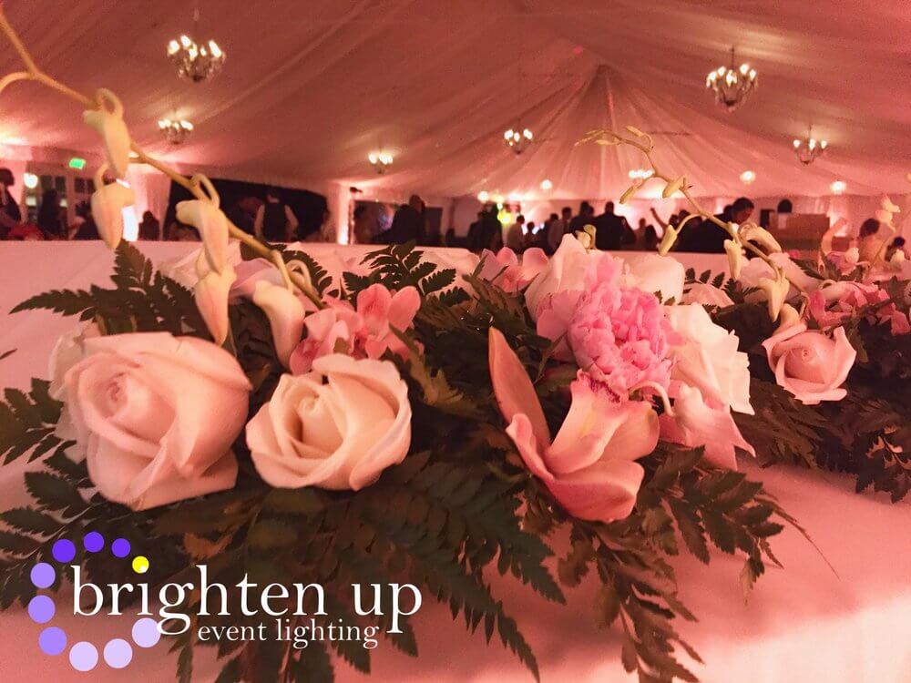 Haggin Oaks Pavilion Wedding Lighting Blush