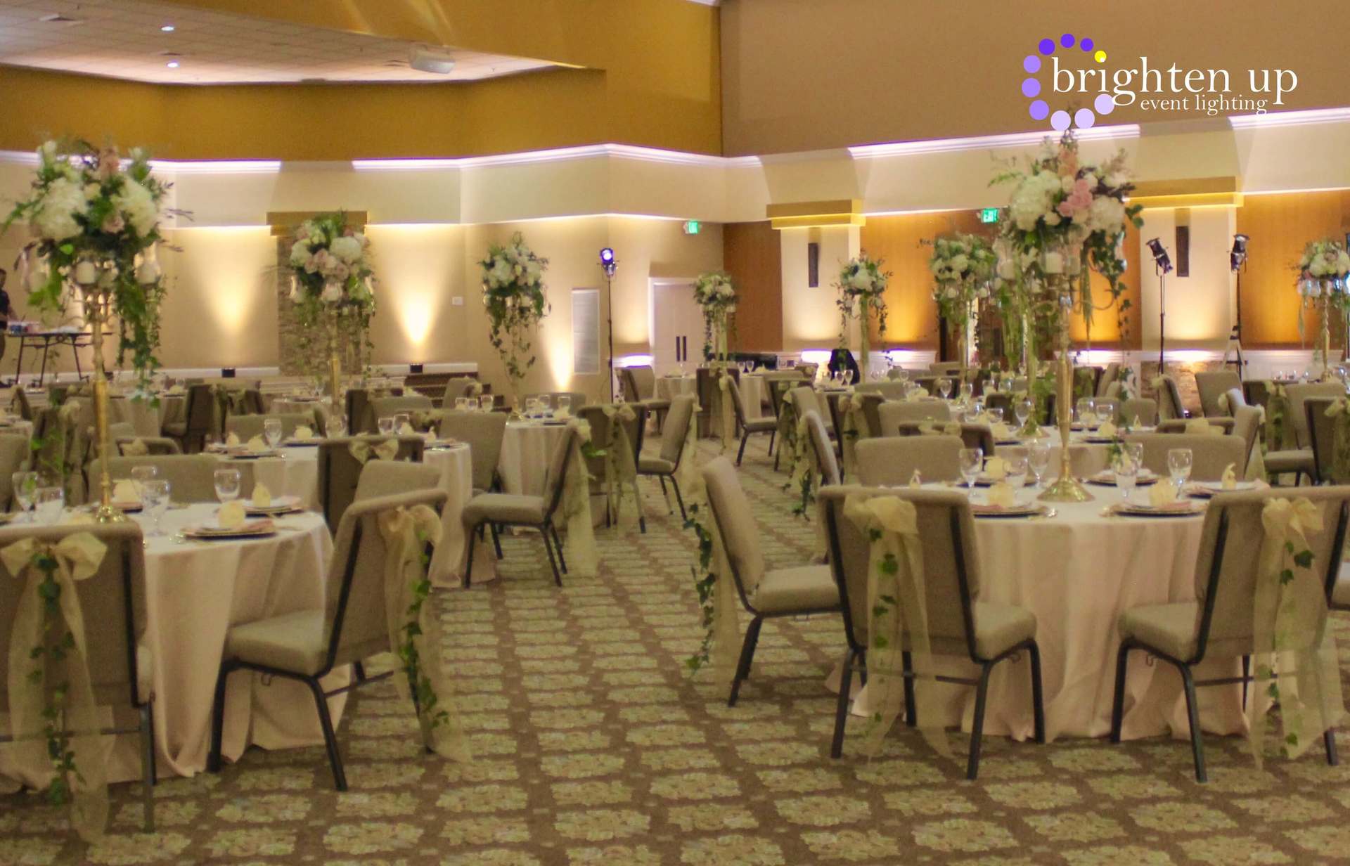 Rocklin Event Center Wedding Uplighting Champagne Brighten Up Event Lighting