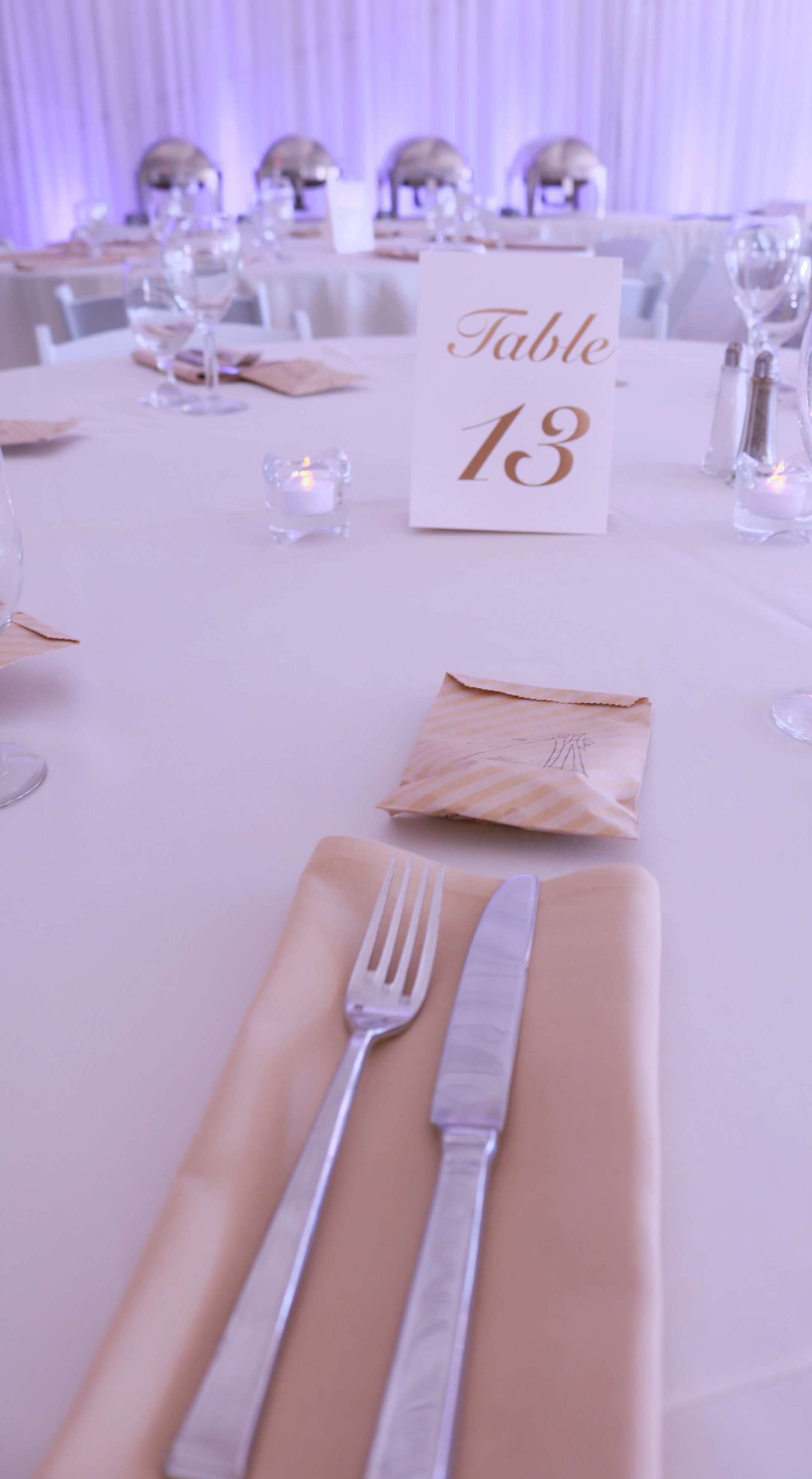 Haggin Oaks Pavilion Golf Course Sacramento Wedding Lilac Uplighting Brighten Up Event Lighting​