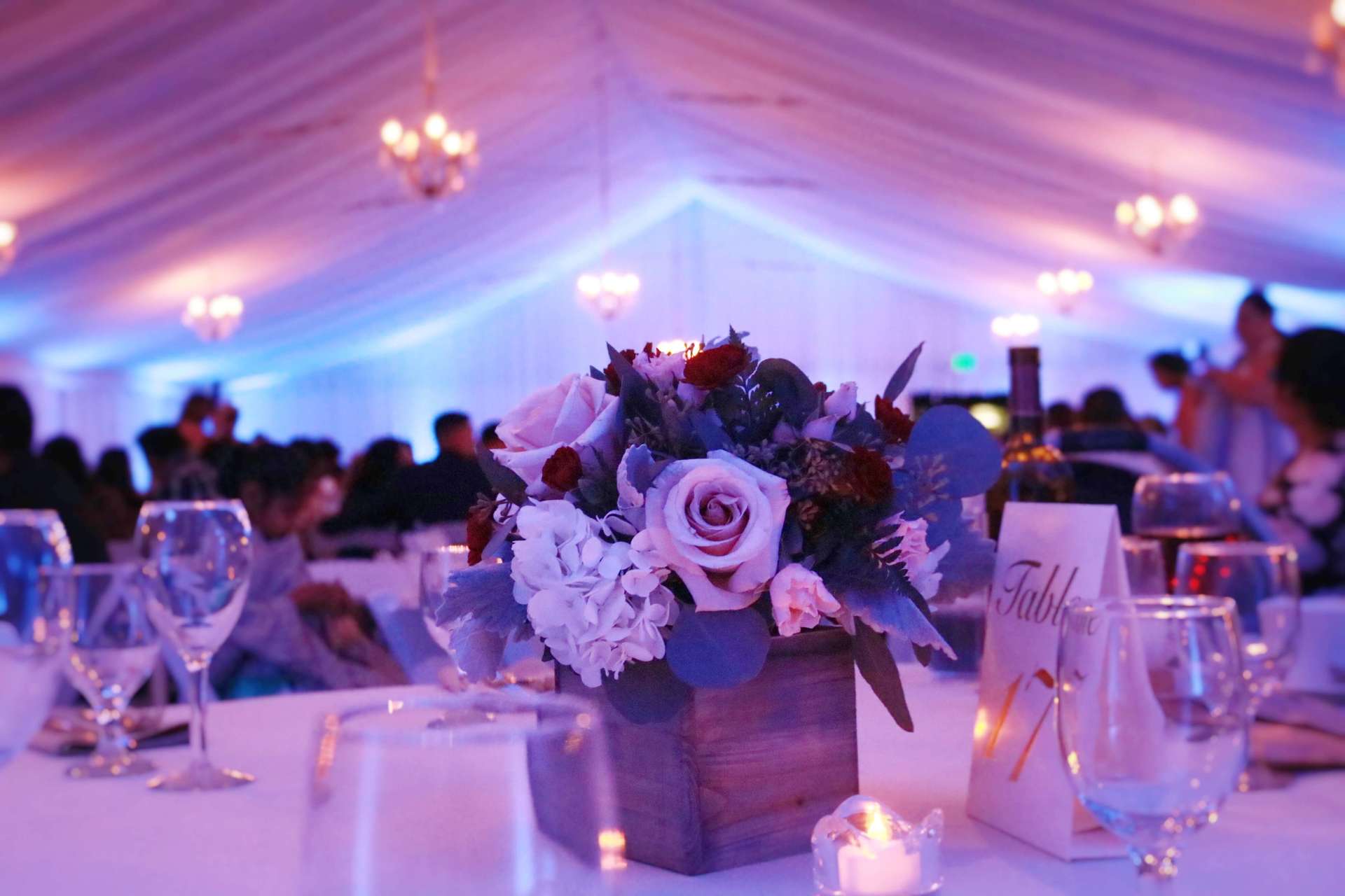 Haggin Oaks Pavilion Golf Course Sacramento Soft Blue Uplighting Brighten Up Event Lighting