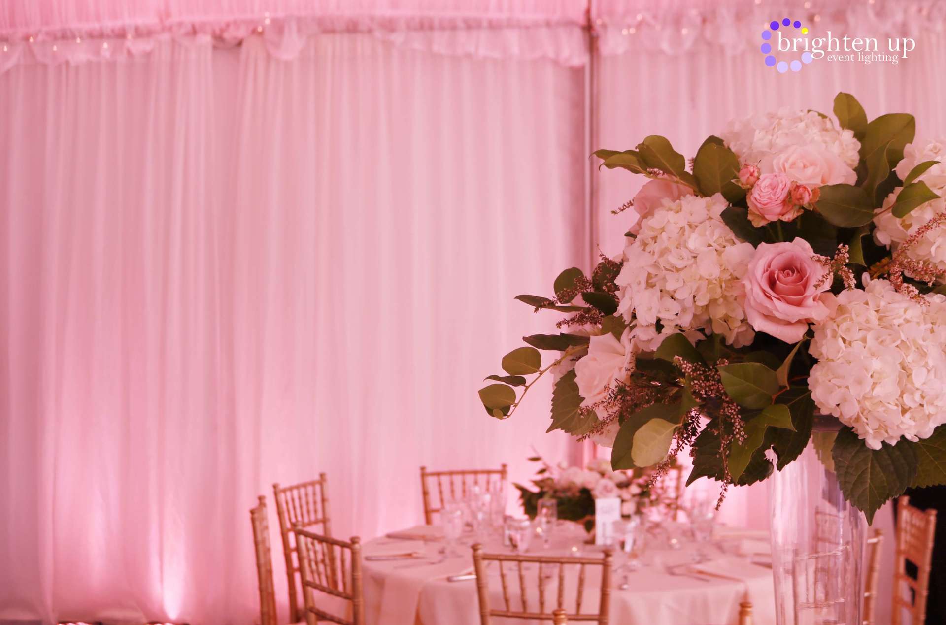 The Westin Sacramento Scotts Seafood Tent Wedding Pink Uplighting