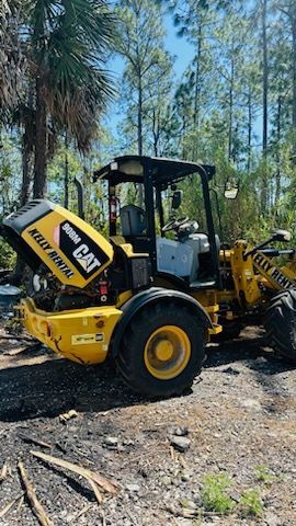 a yellow and black cat bulldozer is parked in the woods . — Naples, FL — Affordable Pros Removal Services LLC
