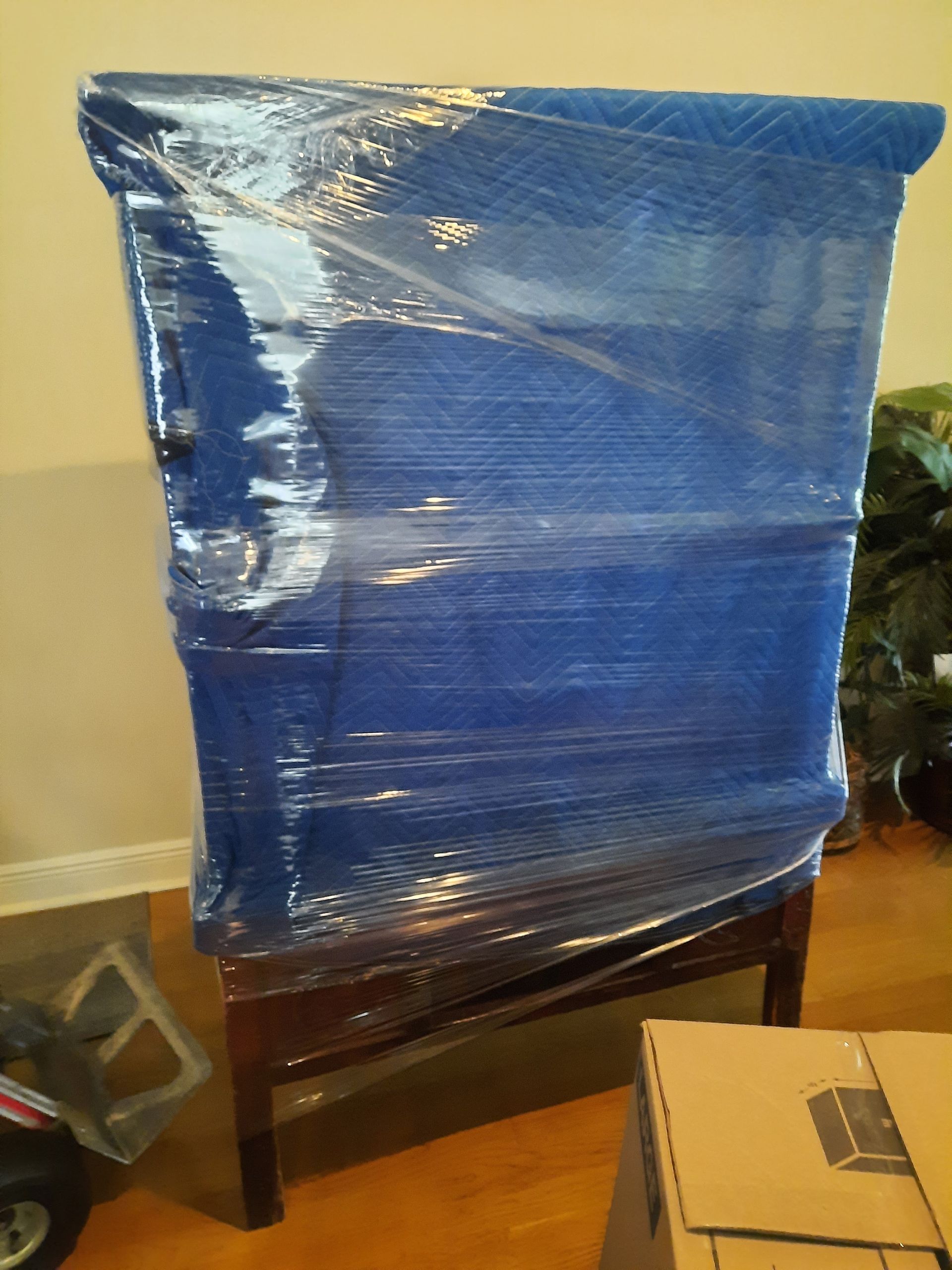 A chair is wrapped in blue plastic wrap in a living room