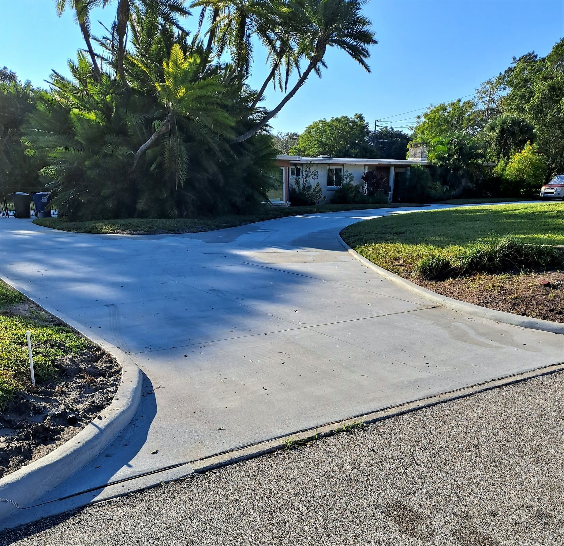 A concrete driveway leading to a house with palm trees