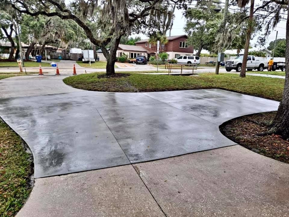 A concrete driveway with a tree in the middle of it and a house in the background.