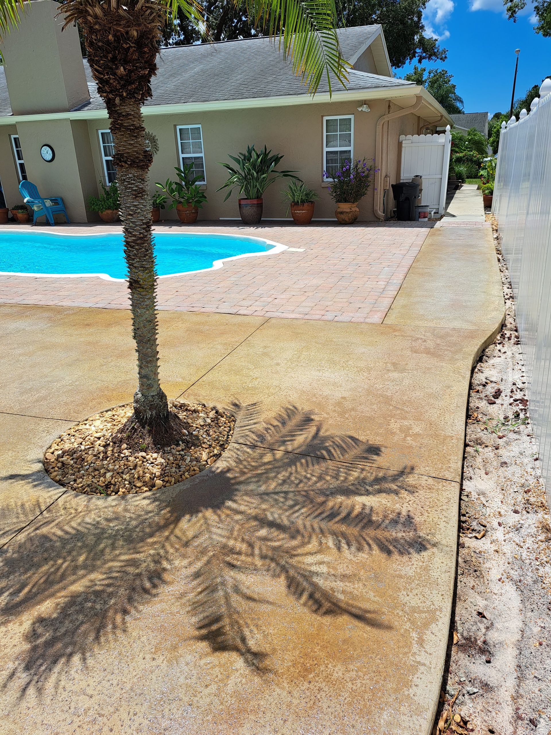 A shadow of a palm tree is cast on the sidewalk in front of a house.