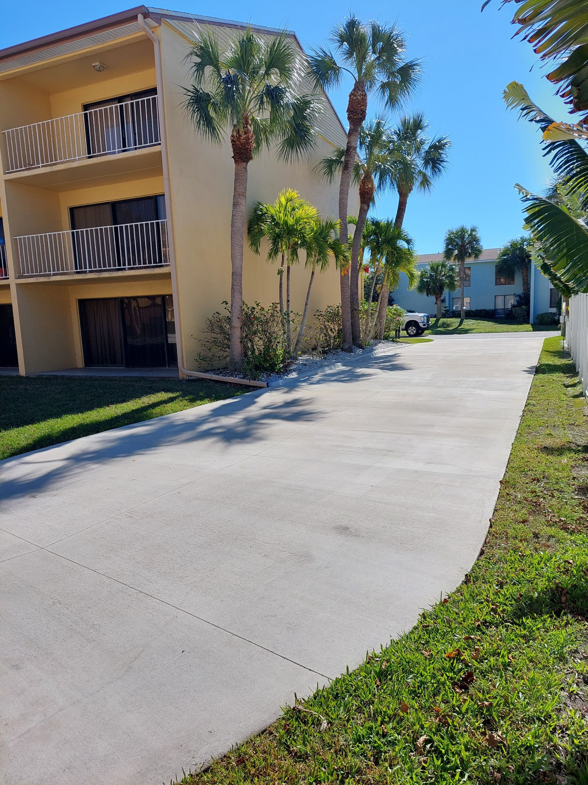 A concrete driveway leading to a building with palm trees
