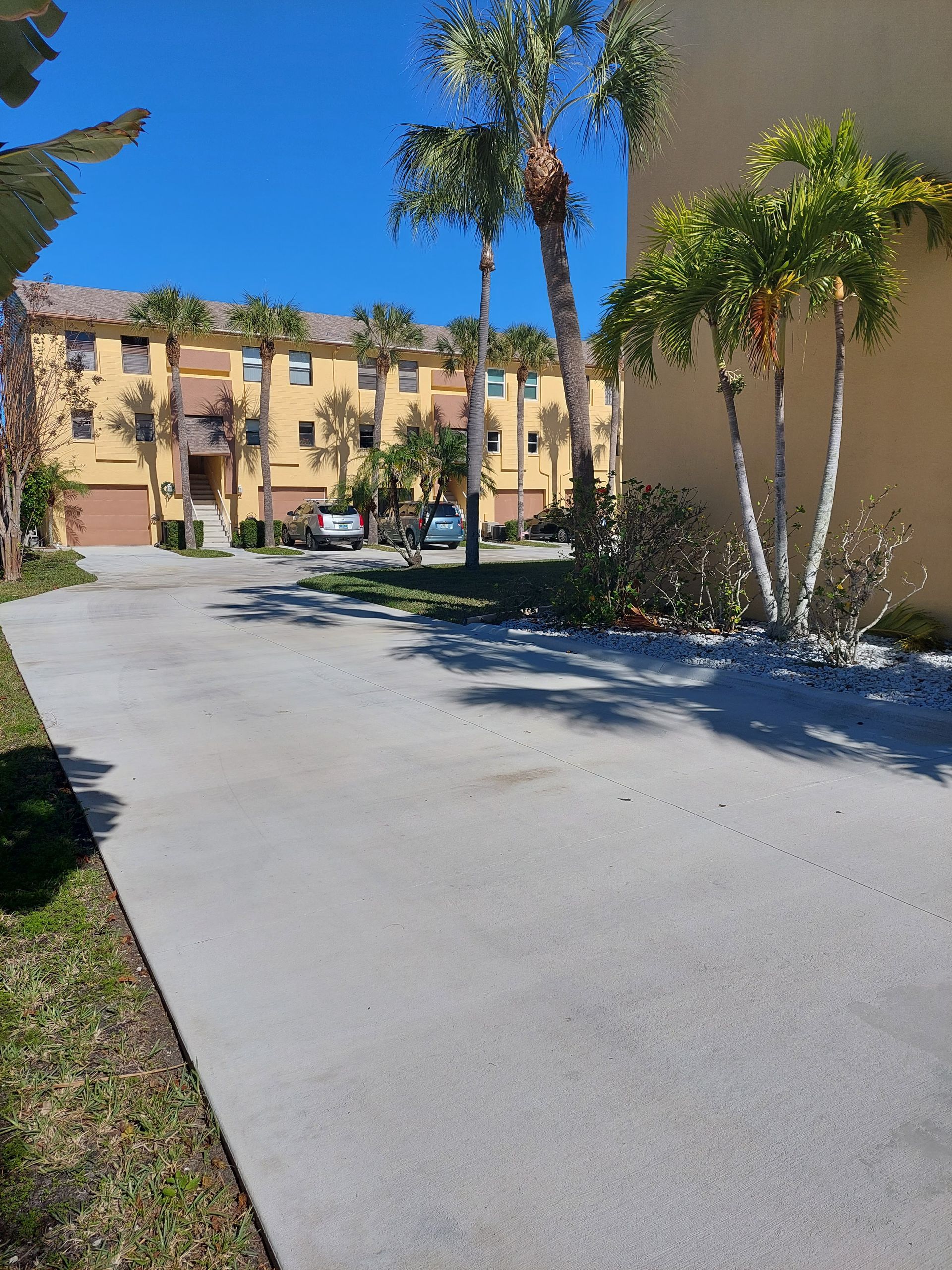 A driveway leading to a building with palm trees