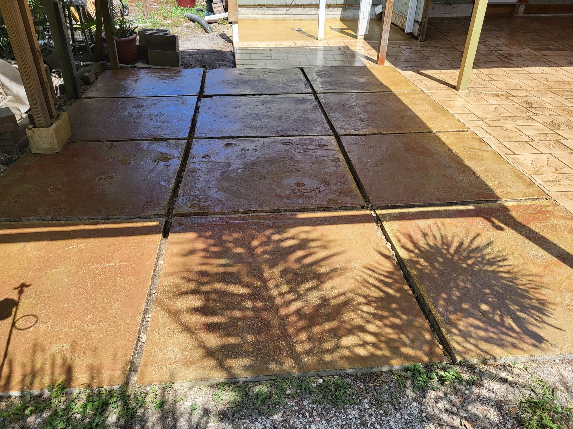 A patio with a shadow of a palm tree on it.
