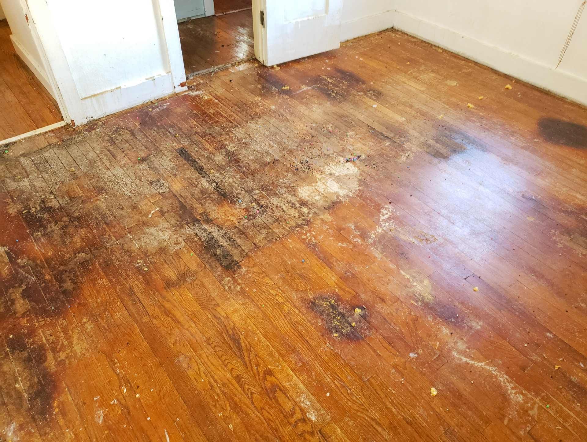 A green exercise ball is sitting on a wooden floor next to a window.