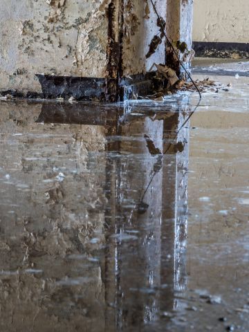 Professional Water Damage Mitigation Services in Dayton