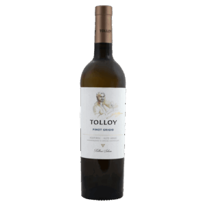 Witte wijn, Pinot Grigio druif, Alto Adige Italië – Tolloy wijnfles met elegant label uit Zuid-Tirol