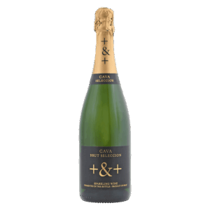 Mousserende wijn, blend druiven, Penedès Spanje – brut cava in stijlvolle fles, wijn voor feestelijke momenten