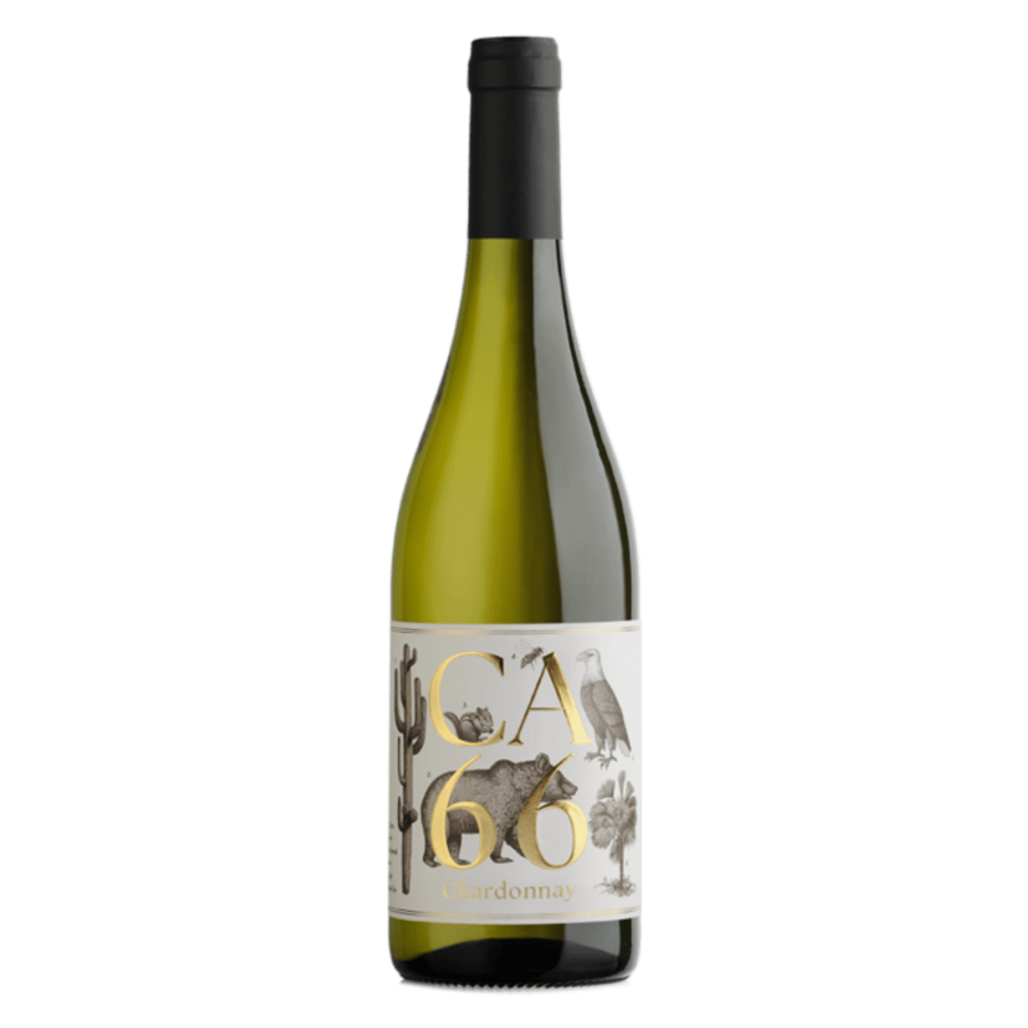 Amerikaanse wijn van Chardonnay uit Californië, CA66 met illustratief etiket en witte wijn met tropisch fruit en houttoets