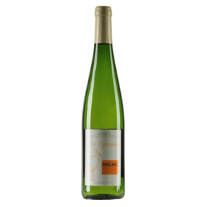 Witte wijn Riesling uit Elzas Frankrijk – frisse wijn met citrus, mineraliteit en levendige wijnzuren