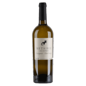 Witte wijn uit Frankrijk van Sauvignon en Chardonnay – frisse wijn met citrus, tropisch fruit en soepele wijnsmaak