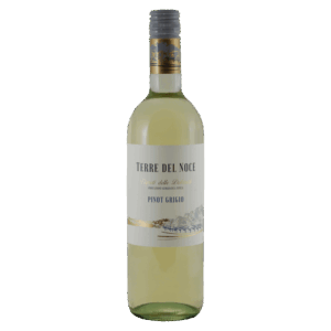 Witte wijn Pinot Grigio uit Trentino Italië – lichte wijn met frisse zuren, citrusfruit en elegante wijnstijl