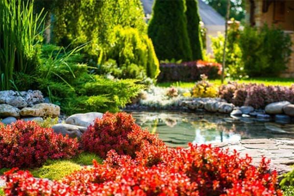 Water Features — Landscape Design in Asheville, NC