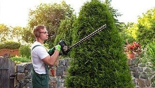 Tree Service — Worker Trimming A Tree in Asheville, NC