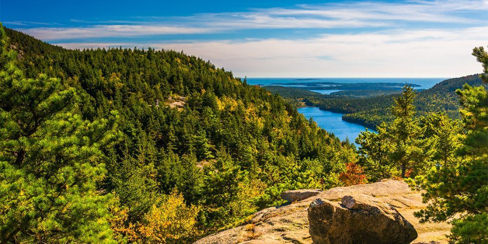 A view of a lake from the top of a mountain surrounded by trees.