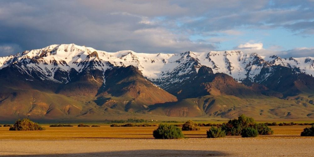 The mountains are covered in snow and there is a field in the foreground