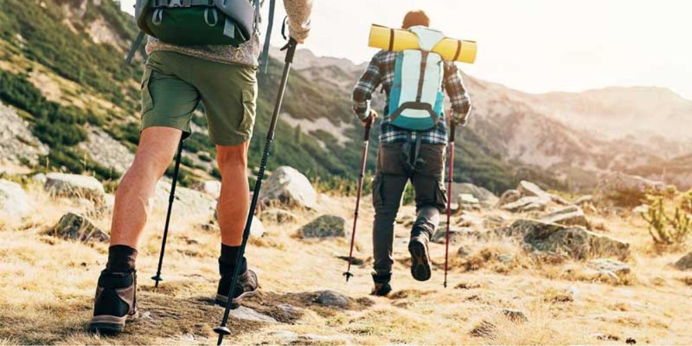 trekking poles for backpacking