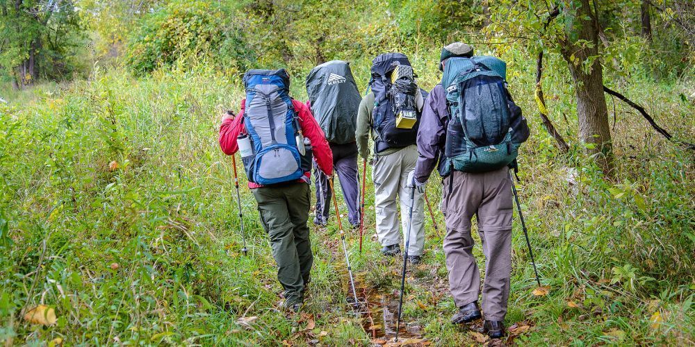 A group of people with backpacks are walking down a path in the woods.