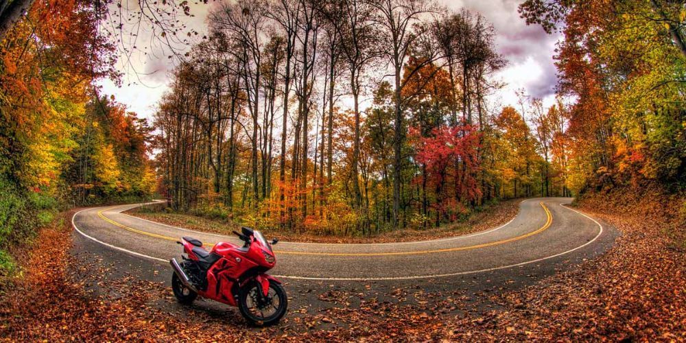 A red motorcycle is parked on the side of a curvy road in the woods.