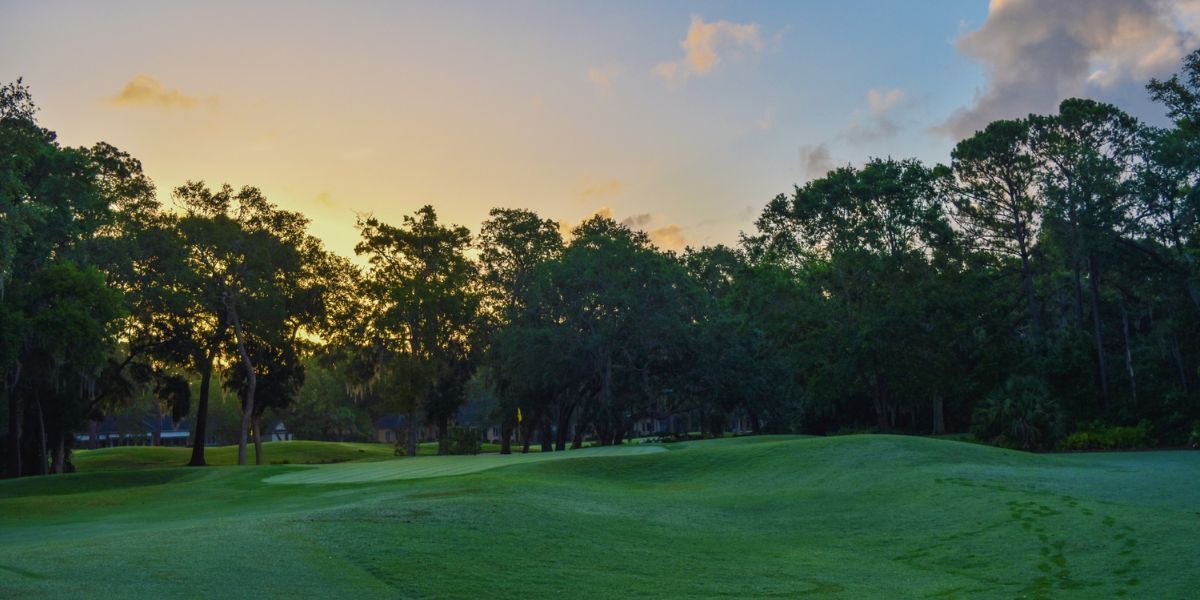 A golf course with trees in the background at sunset.