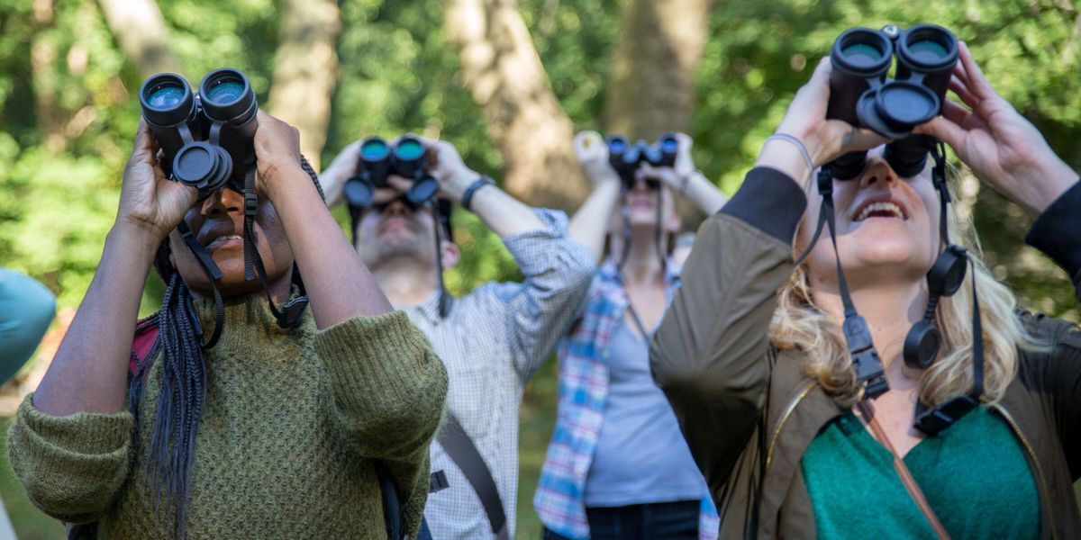 birding binoculars