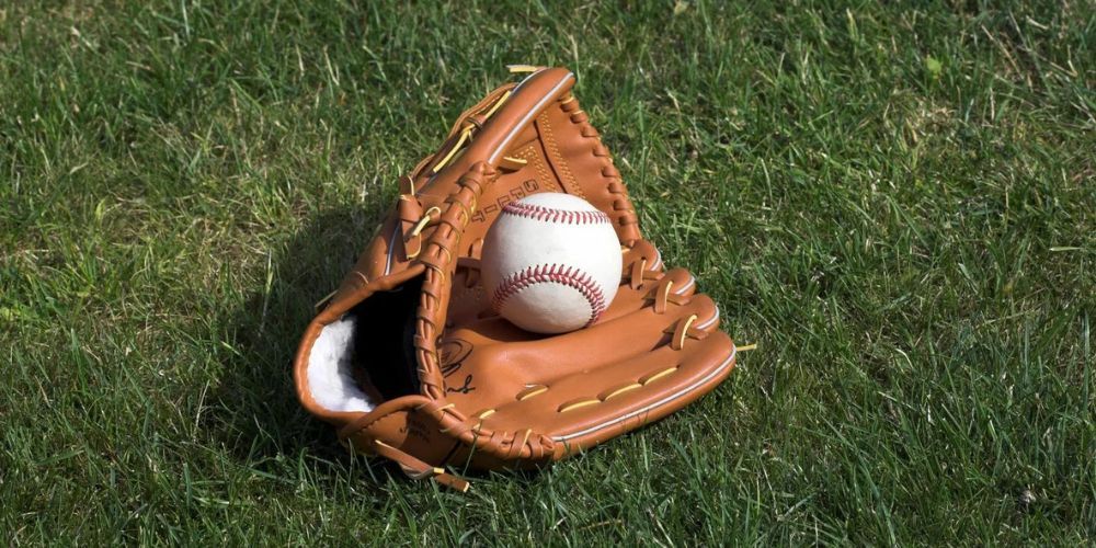 A baseball is sitting in a baseball glove on the grass.