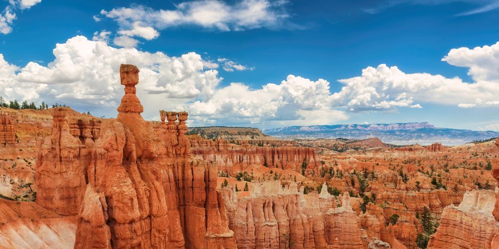 A view of a canyon with a blue sky and clouds in the background.