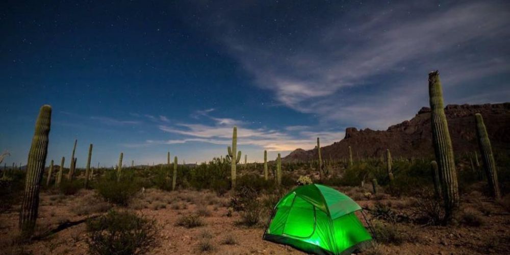 Starry night sky over Arizona campsite