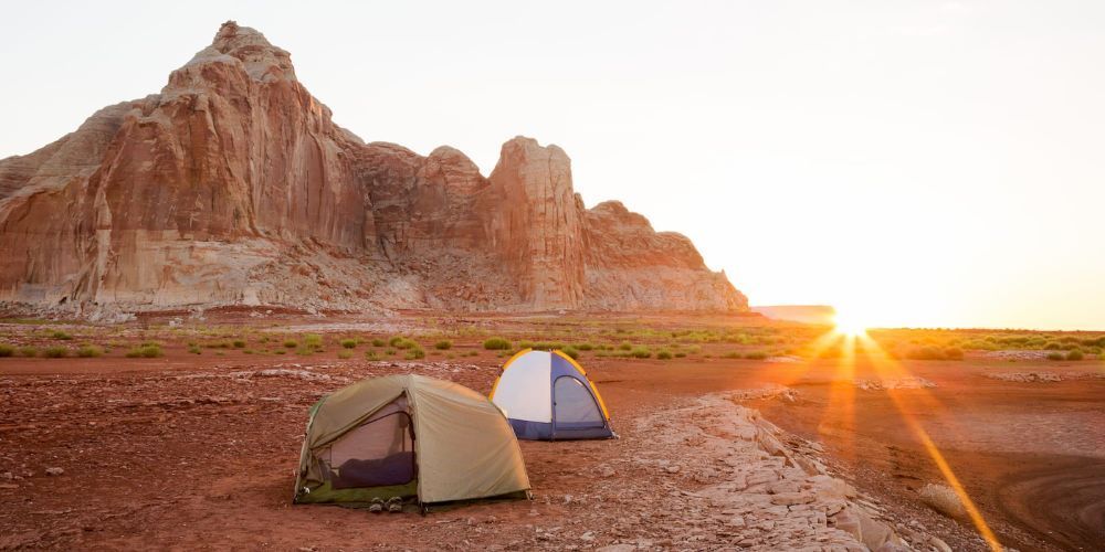 Desert campsite with cactus and mountains in Arizona