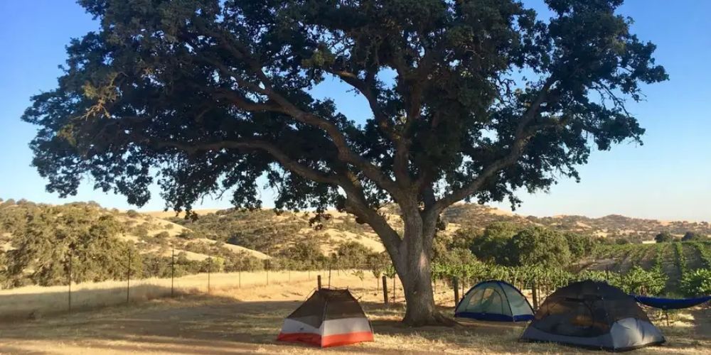 Hiking trail with scenic views in California