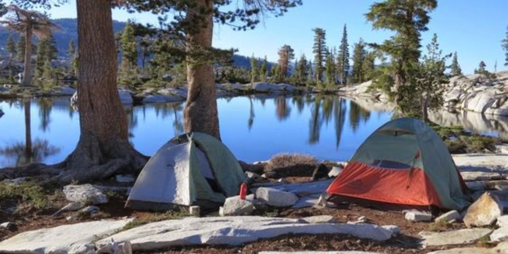 Mountain campsite surrounded by tall trees in California