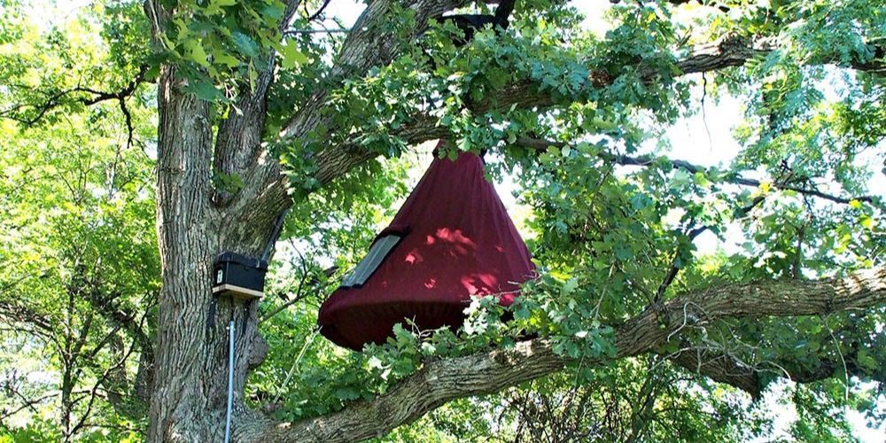 Birdwatching in Iowa's natural reserves