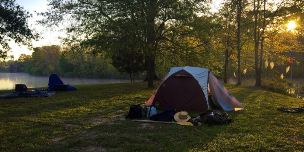 Wildlife photography at Kisatchie National Forest