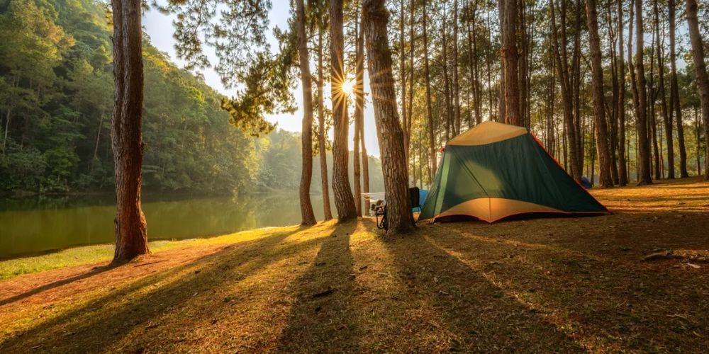 Bayou camping at Lake Fausse Pointe