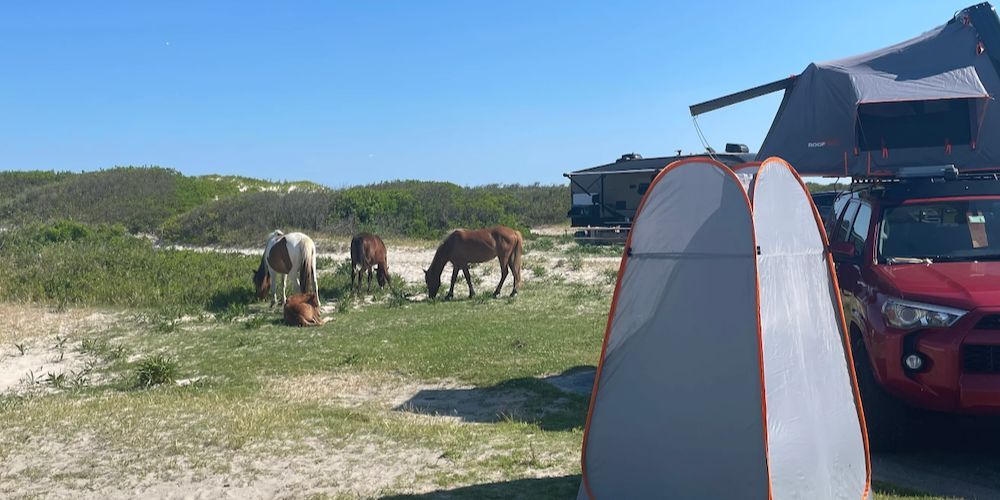 Ocean view camping at Assateague Island National Seashore