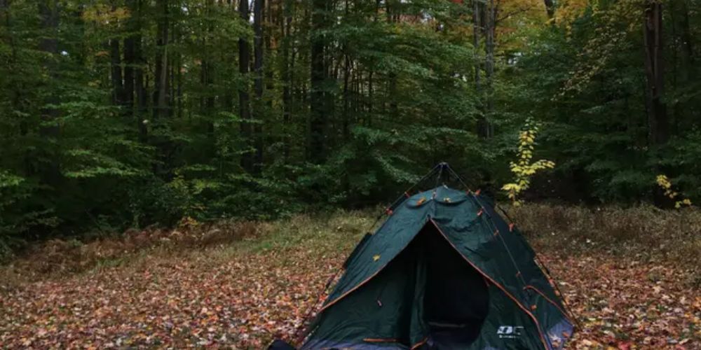 Camping in Allegheny National Forest, Pennsylvania