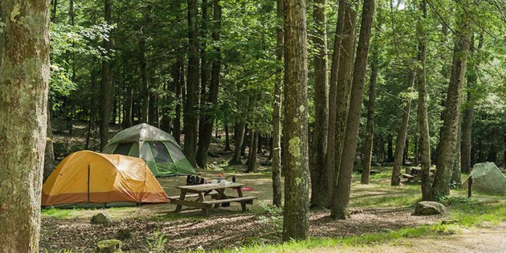 Camping near the beach at Fishermen's Memorial State Park in Rhode Island