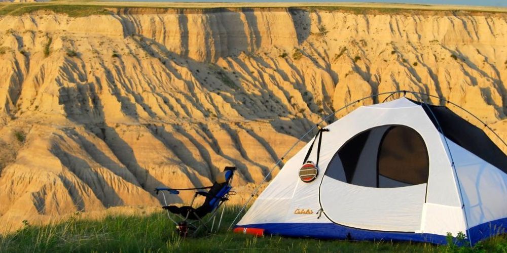 Camping at Custer State Park in South Dakota with bison grazing nearby