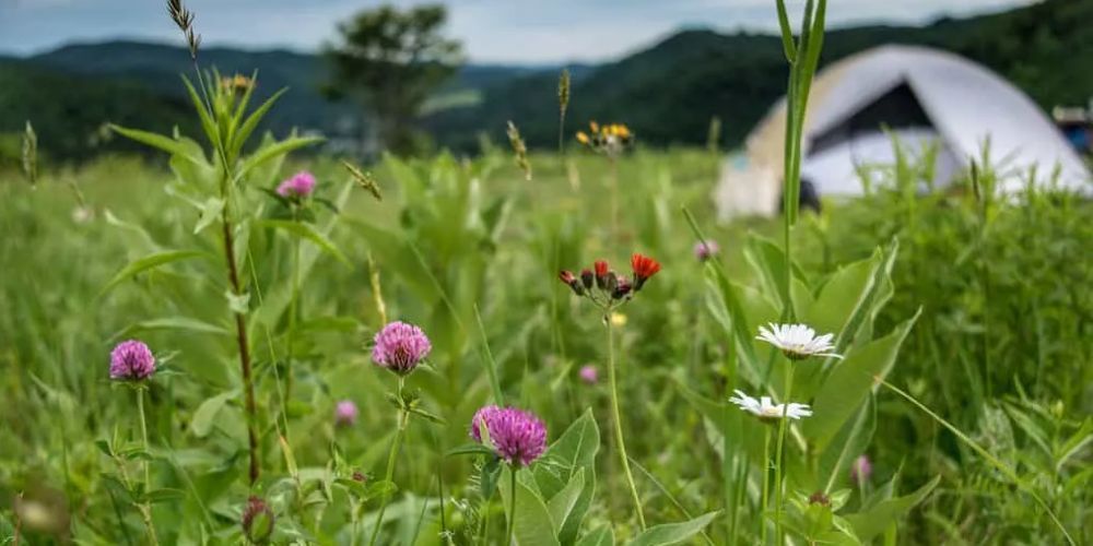 Hiking at Green Mountain National Forest in Vermont