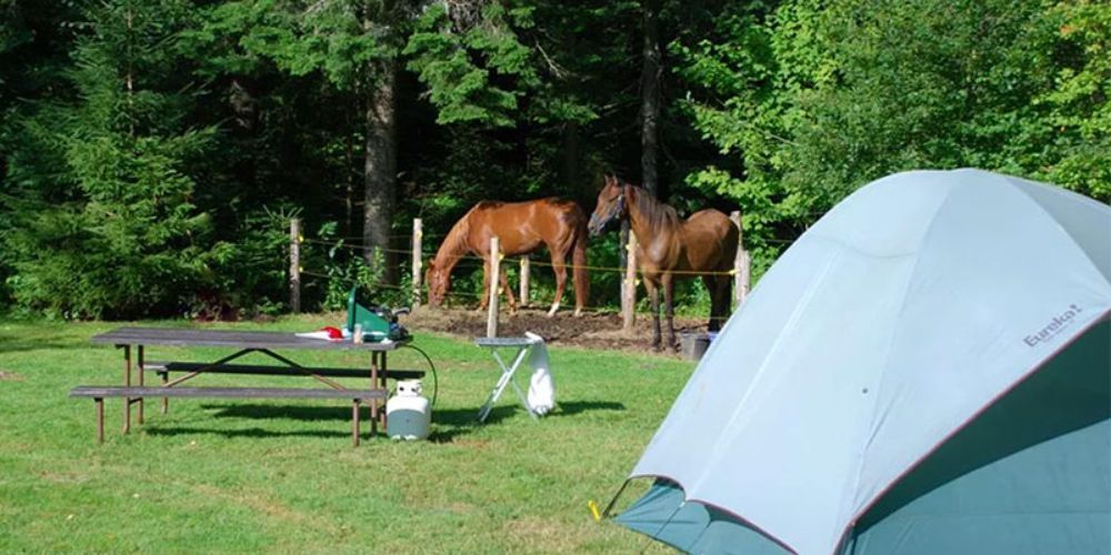 Tent camping at Smugglers' Notch State Park in Vermont's Green Mountains