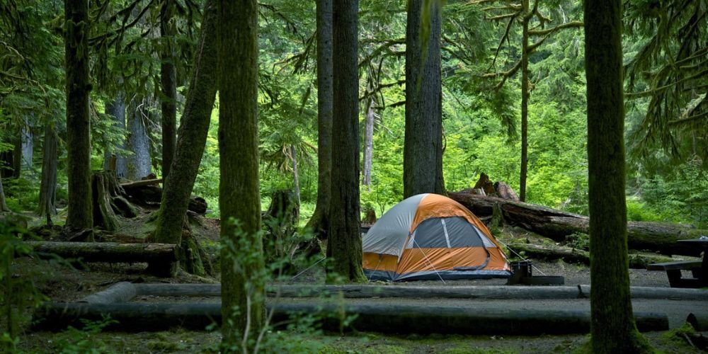 Camping by Lake Wenatchee in Washington's North Cascades