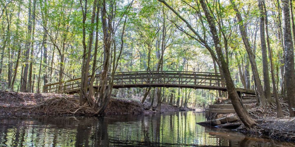 A wooden bridge over a river in the woods.