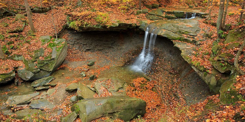 A small waterfall in the middle of a forest surrounded by rocks and leaves.