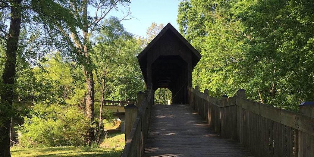 Cyclist riding on a forest trail in Alabama